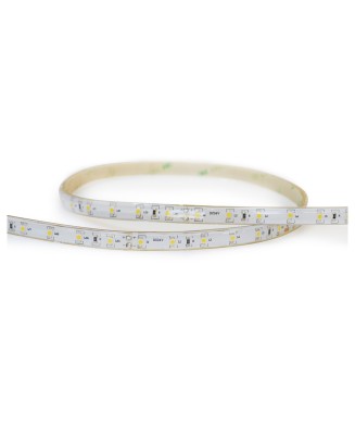 Tira led LED STRIP OUT IP65 LED SMD 4.80W/m Transparente | Novolux