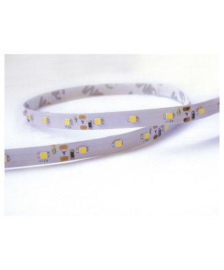 Tira led LED STRIP IN LED SMD 4.80W/m | Novolux